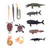 Beaupretty 1Set Simulated Prehistoric Animal Models Vivid Aquatic Creatures Figures for Educational Play Home Decor and Options view 1