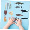 Beaupretty 1Set Simulated Prehistoric Animal Models Vivid Aquatic Creatures Figures for Educational Play Home Decor and Options view 3