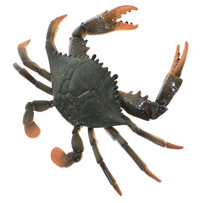 BESPORTBLE 1Pc Educational Simulation Crab Model for and Safe Animal Figures for Cognitive Development and Creative Play Home