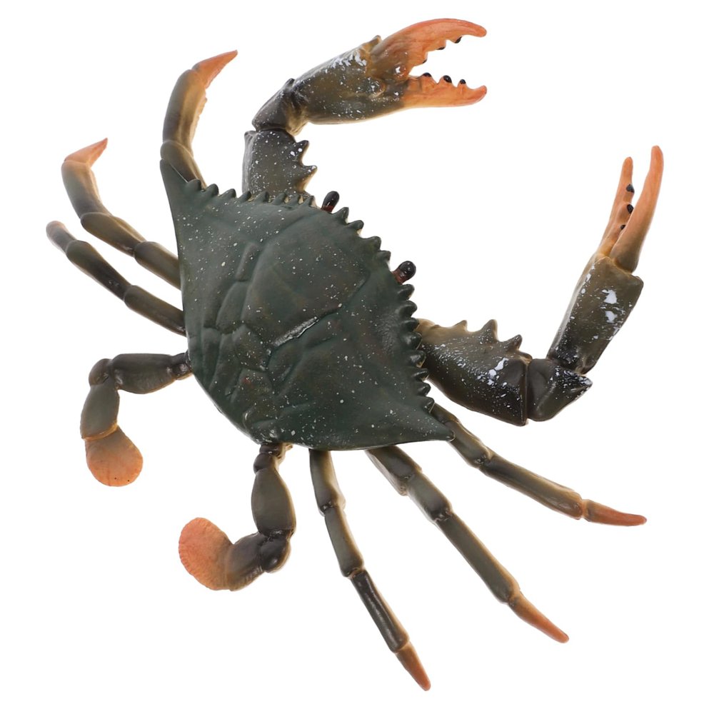 BESPORTBLE 1Pc Educational Simulation Crab Model for and Safe Animal Figures for Cognitive Development and Creative Play Home
