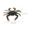 BESPORTBLE 1Pc Educational Simulation Crab Model for and Safe Animal Figures for Cognitive Development and Creative Play Home view 2