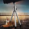 10X50 Big Eyepiece Monocular Telescopes, All Metal Stretch Optical Pirate Mirror, Waterproof Small Lightweight Telescope view 4