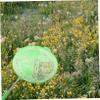 HOMOBABE 4Pcs Telescopic Insects Nets for Kids Large Stainless Steel Butterfly and Dragonfly Catching Mesh Cages Portable Outdoor Fishing Nets Extendable Handle view 3
