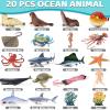 20 Pcs Ocean Animal Toy with Educational Booklet, Plastic Sea Animal with Gift Box, Mini Sea Creature Figures for Kids Age 3+, Birthday Gift, Ocean Theme Party Favor, Water Bath Toy for Toddler view 3