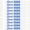 10Pcs Senior Sash 2026 Blue Glitter White Satin Sashes for Class of 2026 Graduation Celebrations Party Graduated Senior Cheerleader view 1