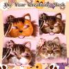 Abeillo DIY Therian Mask Kit - 4 Packs Blank Cat Masks with Fur and Felt Sheet, Furry Animal Mask to Paint, Dress Up Costume Accessories for Halloween Christmas Cosplay Party view 2