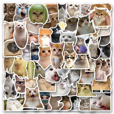 100PCS Funny Cat Stickers Vinyl Aesthetics Sticker for Scrapbooking, Diary, Laptop, Bumper, Skateboard, Water Bottle, Computer, Phone, Cartoon, Hard hat, Car Stickers and Decals