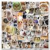 100PCS Funny Cat Stickers Vinyl Aesthetics Sticker for Scrapbooking, Diary, Laptop, Bumper, Skateboard, Water Bottle, Computer, Phone, Cartoon, Hard hat, Car Stickers and Decals view 1