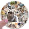100PCS Funny Cat Stickers Vinyl Aesthetics Sticker for Scrapbooking, Diary, Laptop, Bumper, Skateboard, Water Bottle, Computer, Phone, Cartoon, Hard hat, Car Stickers and Decals view 2
