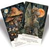Fairy Whispering Oracle Card: Oracle Cards for Beginners, Nature Whispering Oracle Cards, Magic and Mystical Forces to Inspire and Guide You view 3