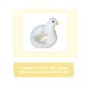 17cm Plush Doll Clothes, Kawaii Animal Costume, Stylish & Cute Outfit Accessories for Boys and Girls (No Doll Included) (White Duck) view 3