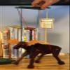 Bull Moose Marionette - An Animated Wooden Wild Animal Figure - Marionette WITH Display-stand view 3