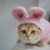 Adorable Plush Bunny Pet Costume - Soft & Warm with Removable Pom-Pom Tail  Perfect for Easter, Halloween, and Everyday Wear (Pink & Blue) view 2