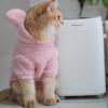 Adorable Plush Bunny Pet Costume - Soft & Warm with Removable Pom-Pom Tail  Perfect for Easter, Halloween, and Everyday Wear (Pink & Blue) view 3