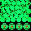 Seenelling 24 Pcs Christian Glow in The Dark Bouncy Balls Easter Jesus Bible Verse Rubber High Bouncing Balls Christian Party Favor Religious Classroom Gifts (Jesus,Green) view 1