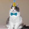 4 Set Stuffed Animal Party Hats with Bow Ties, Sequins Mini Birthday Hat for Stuffed Animals, Small Pet Hats for Cats, Dogs, Puppies, Kittens view 4