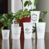 100 Custom Disposable Cups,Personalized Frosted Plastic Reusable Party Cups,Customized Party Modern Wedding Party Bridal Shower Cups (16oz) view 1