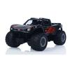 TOUCAN RC HOBBY 44 RC Off Road Vehicle Q156 1/16 Radio Control 360 Rotation Waterproof Stunt Car All Terrain Amphibious Vehicle Ready to Go for Adult view 2