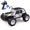 TOUCAN RC HOBBY PVC 1/16 AWD Radio Controlled Electric Off Road Car 16103 RC Model Vehicle 390 Brushed Motor 30A ESC 38KM/H Shock Absorber for Adult view 1