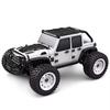TOUCAN RC HOBBY PVC 1/16 AWD Radio Controlled Electric Off Road Car 16103 RC Model Vehicle 390 Brushed Motor 30A ESC 38KM/H Shock Absorber for Adult view 2
