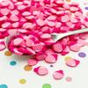 Large Pink Strawberry Polymer Clay Sprinkles, Inedible Fruit Slice for Nail Art, Faux Miniature Fruit for Crafts (15 gram Bag) view 1