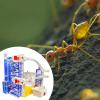 3D Acrylic DIY ANT Farm ANT Viewing for Home School with Feeding Area Educational House Villa Habitat Science Learning Kit view 4