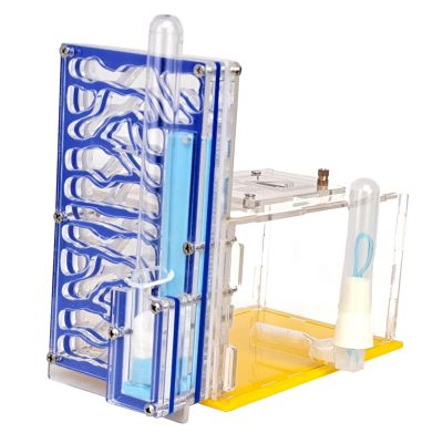 MYCENSE ANT Housing Nest Habitat Transparent Acrylic with Feeder ANT Farm Display Box for Gift Lovers Birthday Decor Children's Day, Blue