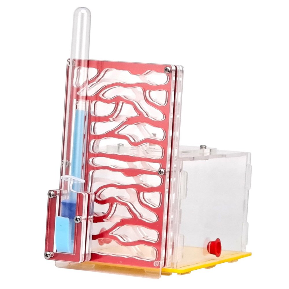 ANT Housing Nest Display Box with Feeder Workshop Acrylic DIY ANT Farm Habitat for Children's Day Gift Tabletop Decoration, Red