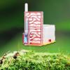 ANT Housing Nest Display Box with Feeder Workshop Acrylic DIY ANT Farm Habitat for Children's Day Gift Tabletop Decoration, Red view 2