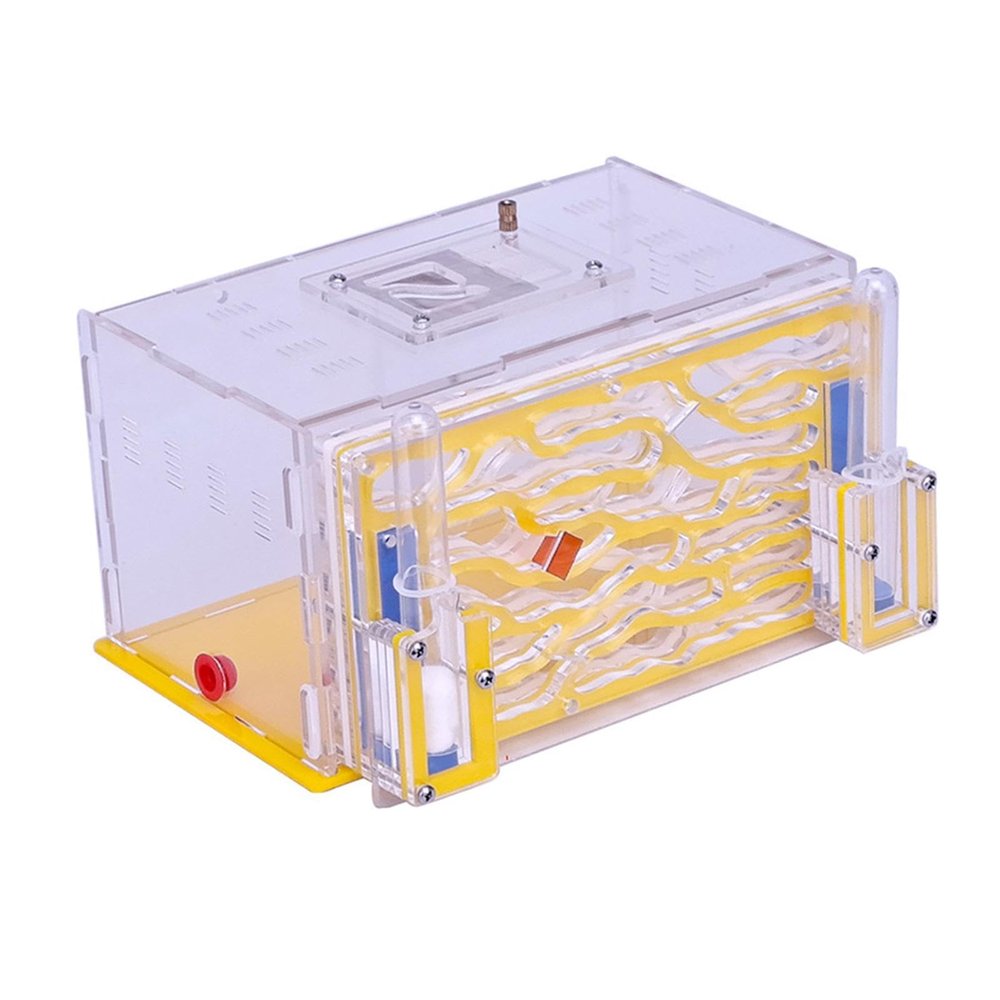 ANT Housing Nest Display Box DIY with Feed Hamper Transparent Habitat ANT Farm for Observation Children's Day, Yellow