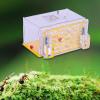 ANT Housing Nest Display Box DIY with Feed Hamper Transparent Habitat ANT Farm for Observation Children's Day, Yellow view 2