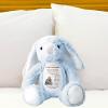 84WONDER I Filled It with My Wishes Grandmother Granddaughter Personalized Stuffed Bunny Gift, Custom Plush Toy from Grandma, Bunny with Message for Granddaughter, Kids & Baby Keepsake view 4