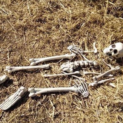 19Pcs/Set Bag of Bones, Scary Fake Bones and Skull, Halloween Skeleton for Halloween Graveyard Scene Haunted Houses Outdoor Indoor