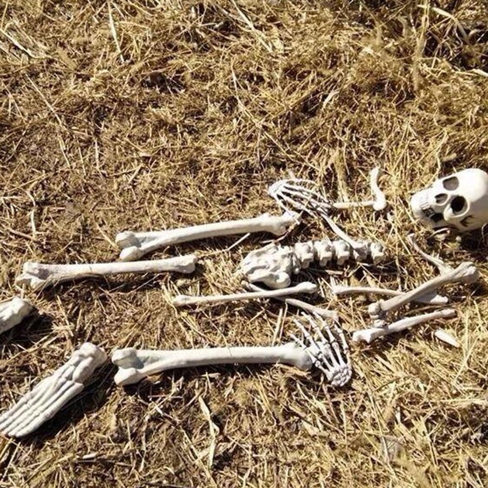 19Pcs/Set Bag of Bones, Scary Fake Bones and Skull, Halloween Skeleton for Halloween Graveyard Scene Haunted Houses Outdoor Indoor