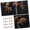 Angoily 24Pcs Mini Dinosaur Set Realistic Animal Shaped Plaything for Imaginative Learning and Room Decor Random Styles for Boys view 3