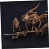 Angoily 24Pcs Mini Dinosaur Set Realistic Animal Shaped Plaything for Imaginative Learning and Room Decor Random Styles for Boys view 4