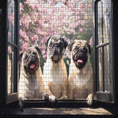 500 Piece Jigsaw Puzzle for Adults Three Pugs Cherry Blossoms Challenging and Happy Cute Puzzle Game for Pet Lovers Families Wall Decor Gift Family Game Night Fun