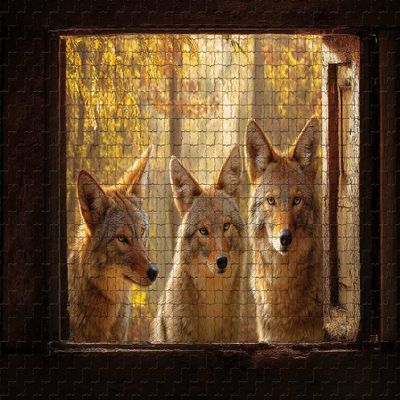 500 Piece Jigsaw Puzzle for Adults Three Coyotes Autumn Forest Challenging and Warm Puzzle Game for Wildlife Lovers Wall Decor Gift Family Game Night Fun