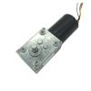 12V DC Motor 24V With Worm Gearbox 8-470RPM Torque Brushless Motor 2.5-60KG Reverse 24V 27rpm view 2