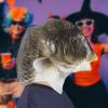 UGPLM Headwear Soft Full Head for Halloween Festival Role Playing Masquerade, Black view 2