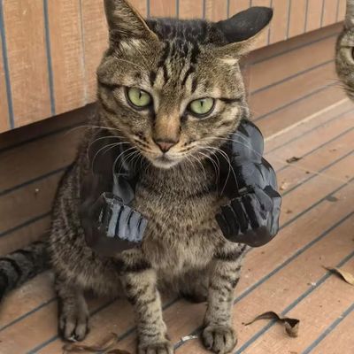 CONNYAM A Quirky Cat Figurine Wearing Monster's Arms, Funny Ornaments, Interactive Pets, Humorous Accessories, 3D Printed Muscle Arm Figurine, Cat Muscle Arms (Black, fist)