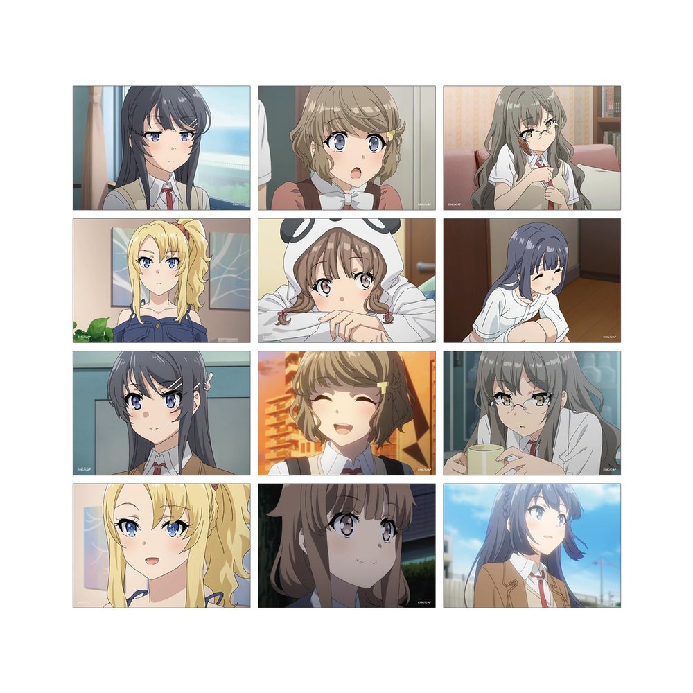 arma bianca Seishun Buta Yaro wa Bunny Girl Senpai no Yume wo Minai, Trading Scene Photograph Bromide, Box of 12