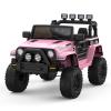 2-Seater Ride On Truck Car view 1