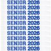 10Pcs Senior 2026 Sash White Satin with Blue Glitter Letters Class of 2026 Sashes for Graduation Party Cheerleader Competition Sashes view 1