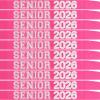 10Pcs Senior 2026 Sash Hot Pink Satin with Silver Glitter Letters Class of 2026 Sashes for Graduation Party Cheerleader Competition Sashes view 1