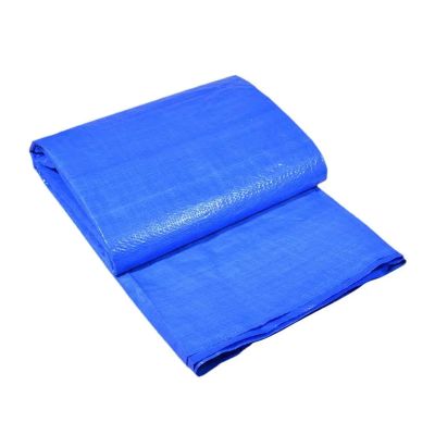 FTYWKXJVR Multi Sizes Ground Mat Cover Large Size Ground Cloth Rectangular Floor Reduce Wear Carpet Cloth(500X300CM)