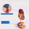 2-Part Life Size Human Heart Model with Mounted Display Base, 34 Anatomical Structures Teaching Science Models Number Manual for Classroom and Study view 2