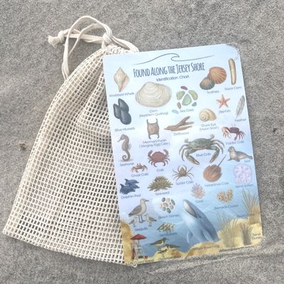 Found Along The Shore Shoreline Discovery Set Jersey Shore Edition | Coastal Identification Chart + Mesh Collection Bag