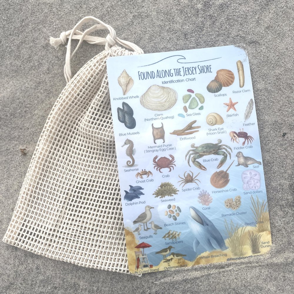 Found Along The Shore Shoreline Discovery Set  Jersey Shore Edition | Coastal Identification Chart + Mesh Collection Bag