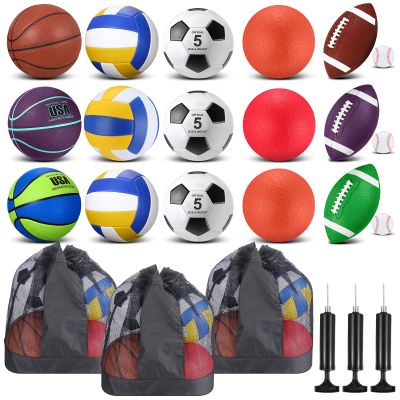 Leyndo 18 Pcs Sport Balls Bulk Set Basketball Football Soccer Playground Balls Volleyball Baseball with Sport Equipment Bag Pump for Adults Outdoor Indoor Recess PE Gifts Back to School(Green)